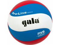 Volejbalový míč Gala Pro-line 10 panelu 5591 S