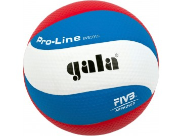 Volejbalový míč Gala Pro-line 10 panelu 5591 S