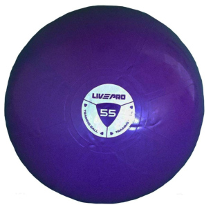 Míč gymball LivePro STUDIO FIT EXERCISE 55 cm 55