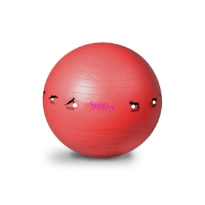 Gymnastický míč SHULAN YOGA BALL 65 cm červená