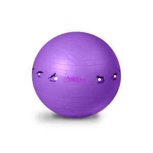 Gymnastický míč SHULAN YOGA BALL 65 cm fialová