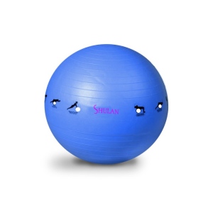Gymnastický míč SHULAN YOGA BALL 65 cm modrá
