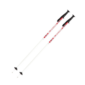 Sjezdové hole Blizzard RACE JUNIOR 70-90 cm 80