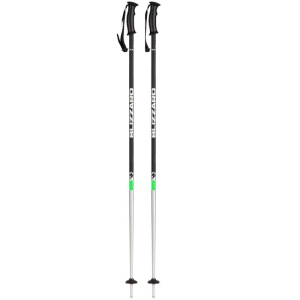 Sjezdové hole Blizzard RENTAL SKI POLES 110-135 cm 110
