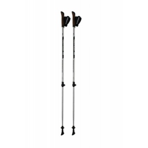 Trekové hole Blizzard Alu Performance Nordic Walking silver/black stříbrná