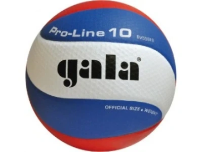 Volejbalový míč Gala PRO-LINE 12 panelů 5585 S