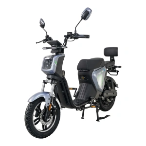 Elektroskútr RACCEWAY PAŘEZ 40, s ŘP, šedý