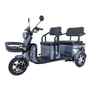 Elektrický dvousedadlový vozík RACCEWAY® E-BUS, fialový