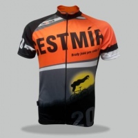 Dres 20 BRZDY JSOU PRO SRABY orange