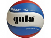 Volejbalový míč Gala School 10 panelů