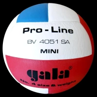 Volejbalový míč Gala PRO-LINE MINI