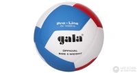 Volejbalový míč Gala PRO-LINE 12 panelů 5585 S